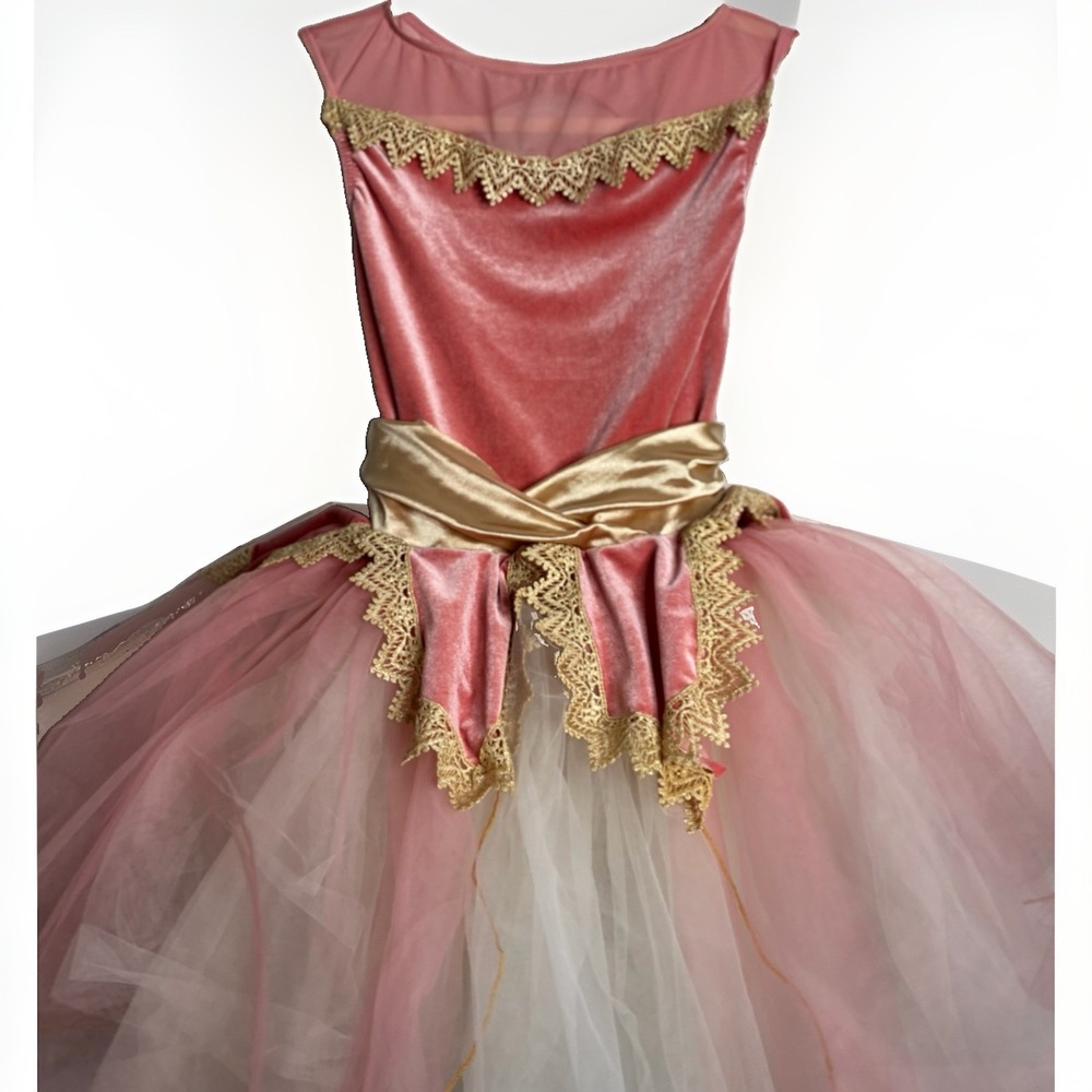 Weissman Size Kids Small Girls Child Gold And Pink Ballet Dance Costume Tulle - Picture 3 of 16